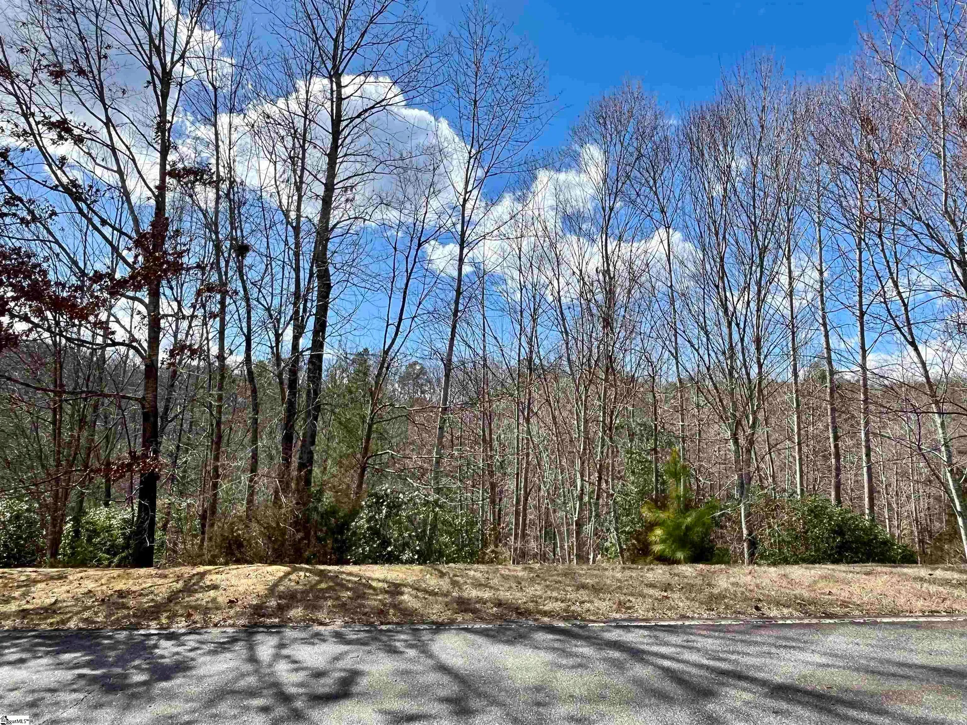 Property image 3 at 760 Blue Bonnet Trail, Marietta, SC 29661