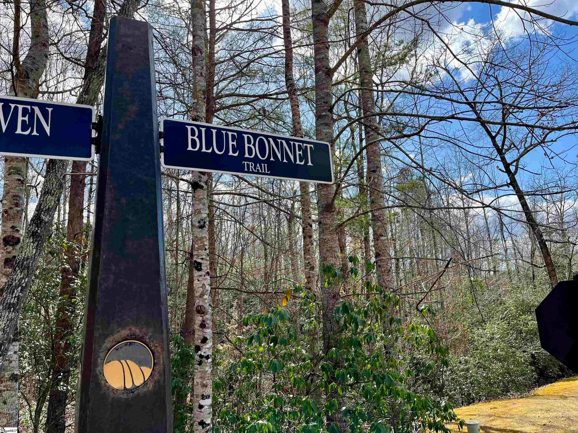 Property image 4 at 760 Blue Bonnet Trail, Marietta, SC 29661