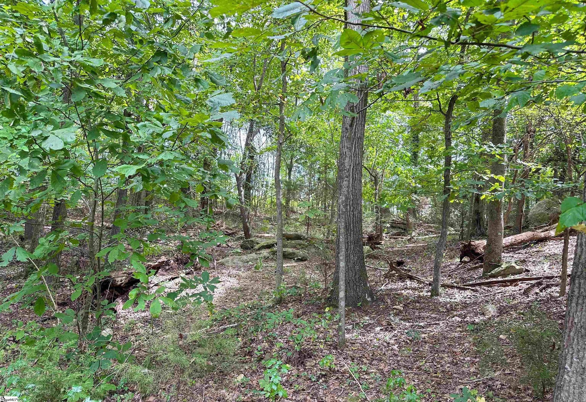 Property image 2 at 105 Modesto Lane, Simpsonville, SC 29681
