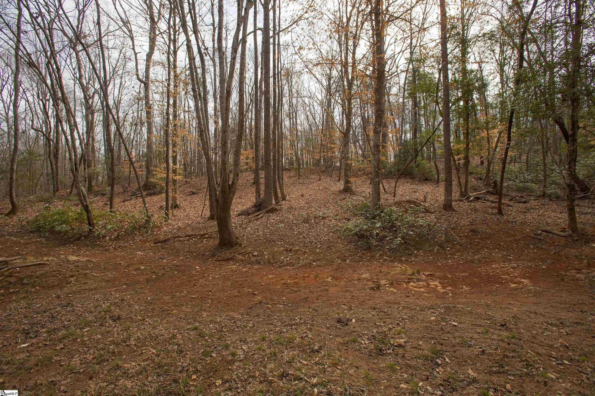 Property image 3 at 125 Maria Lane, Greer, SC 29651