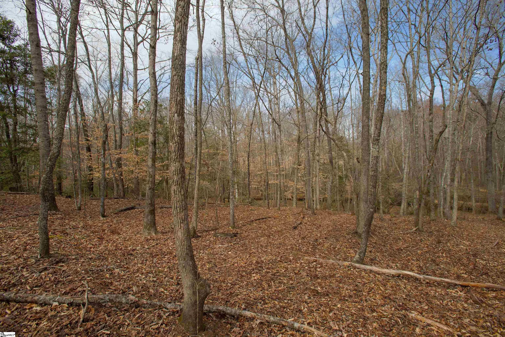 Property image 4 at 125 Maria Lane, Greer, SC 29651