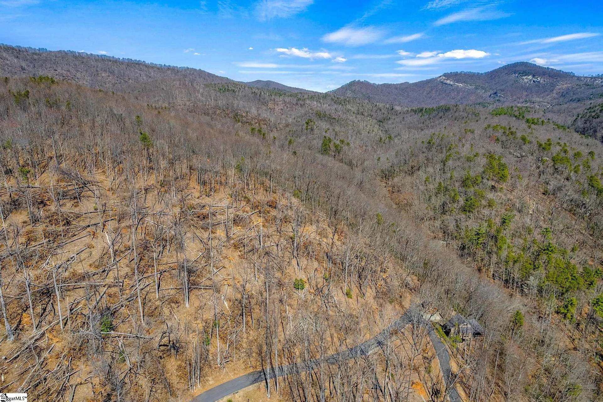 Property image 3 at 821 Whispering Falls Drive, Pickens, SC 29671