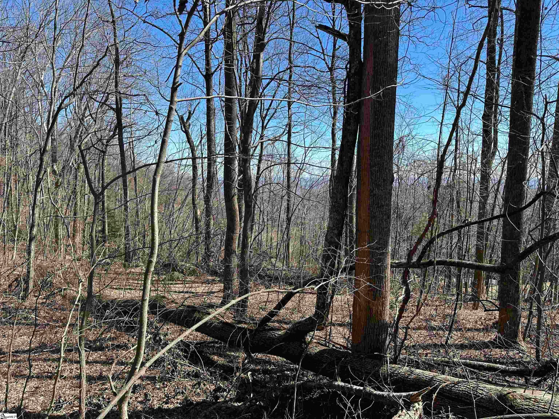 Property image 2 at High Country Way, Landrum, SC 29356-3329