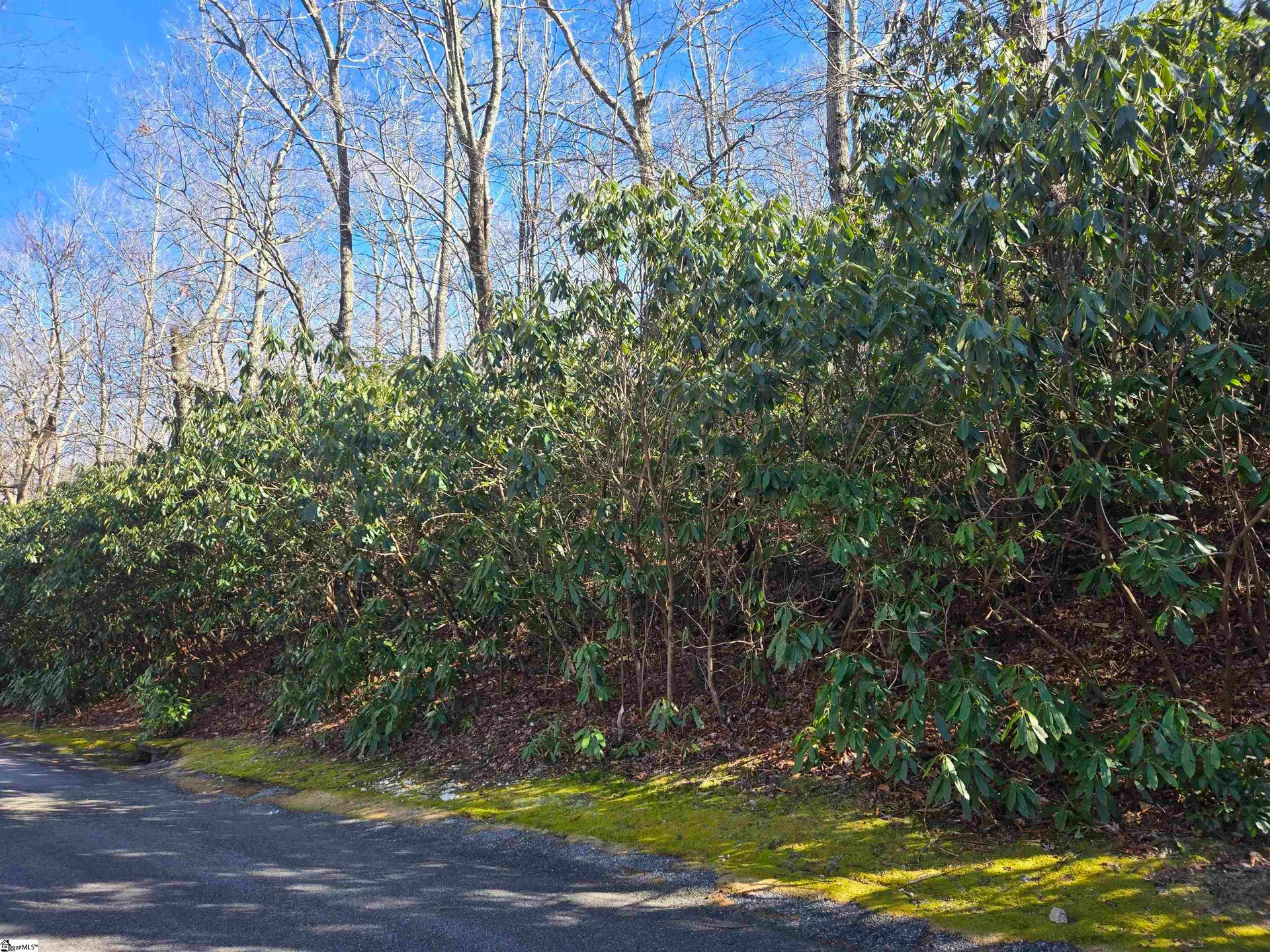 Property image 4 at 620 Cliff Ridge Drive, Cleveland, SC 29635