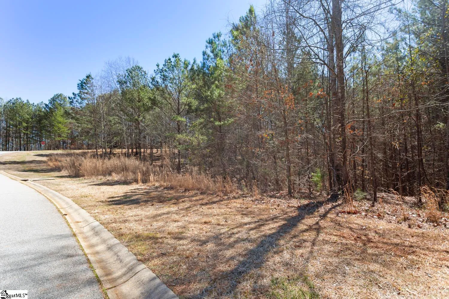 Property image 5 at 000 High Ridge Drive, Seneca, SC 29672