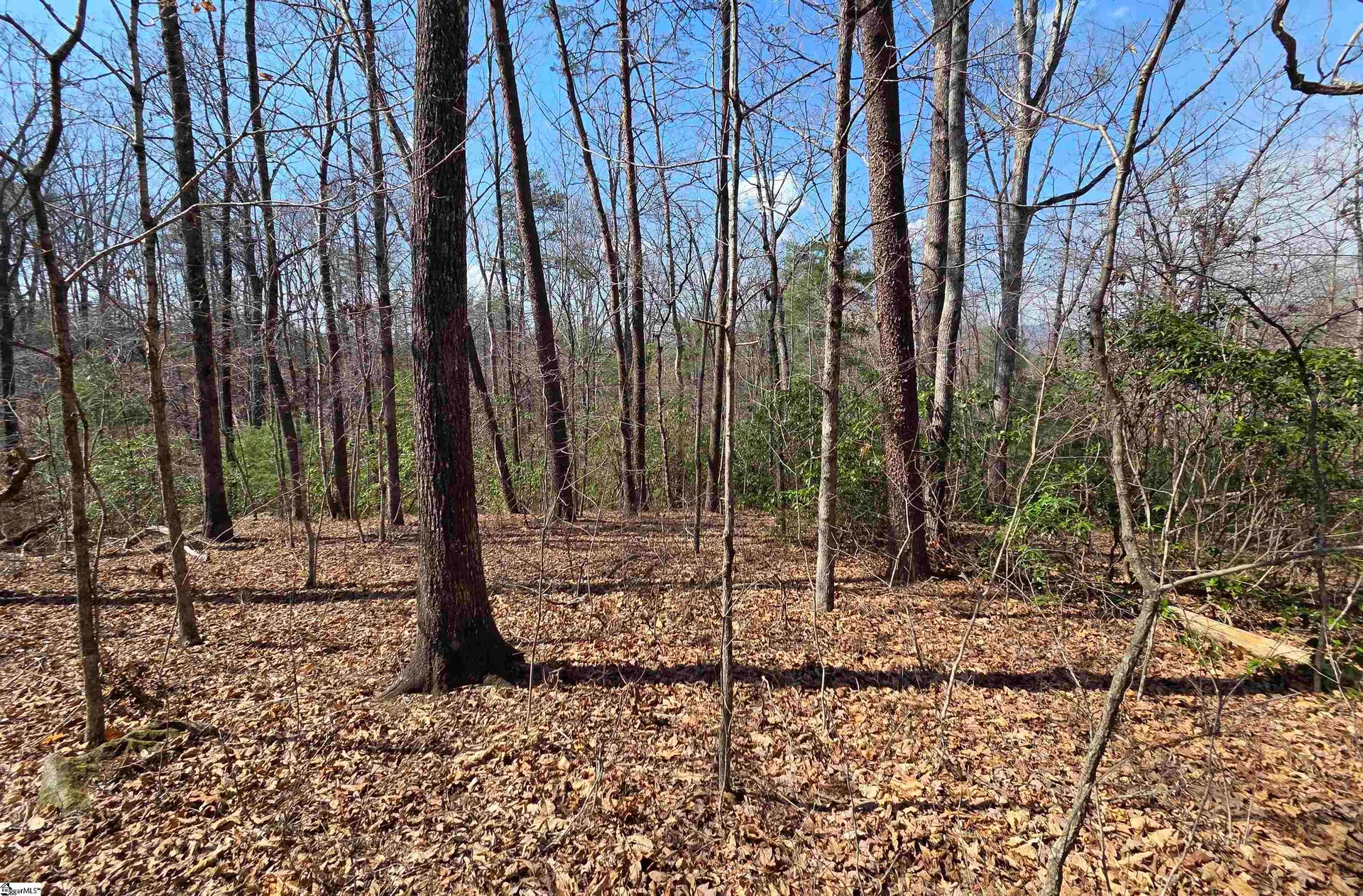 Property image 3 at 00 Alsace Way, Travelers Rest, SC 29690