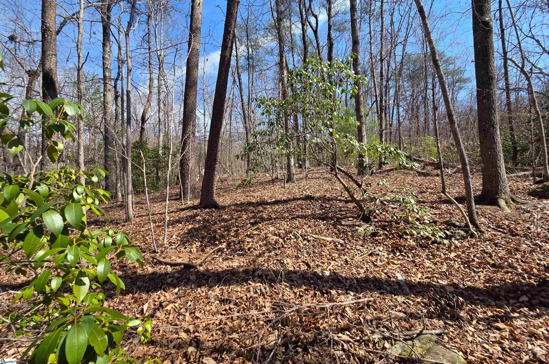 Property image 4 at 00 Alsace Way, Travelers Rest, SC 29690