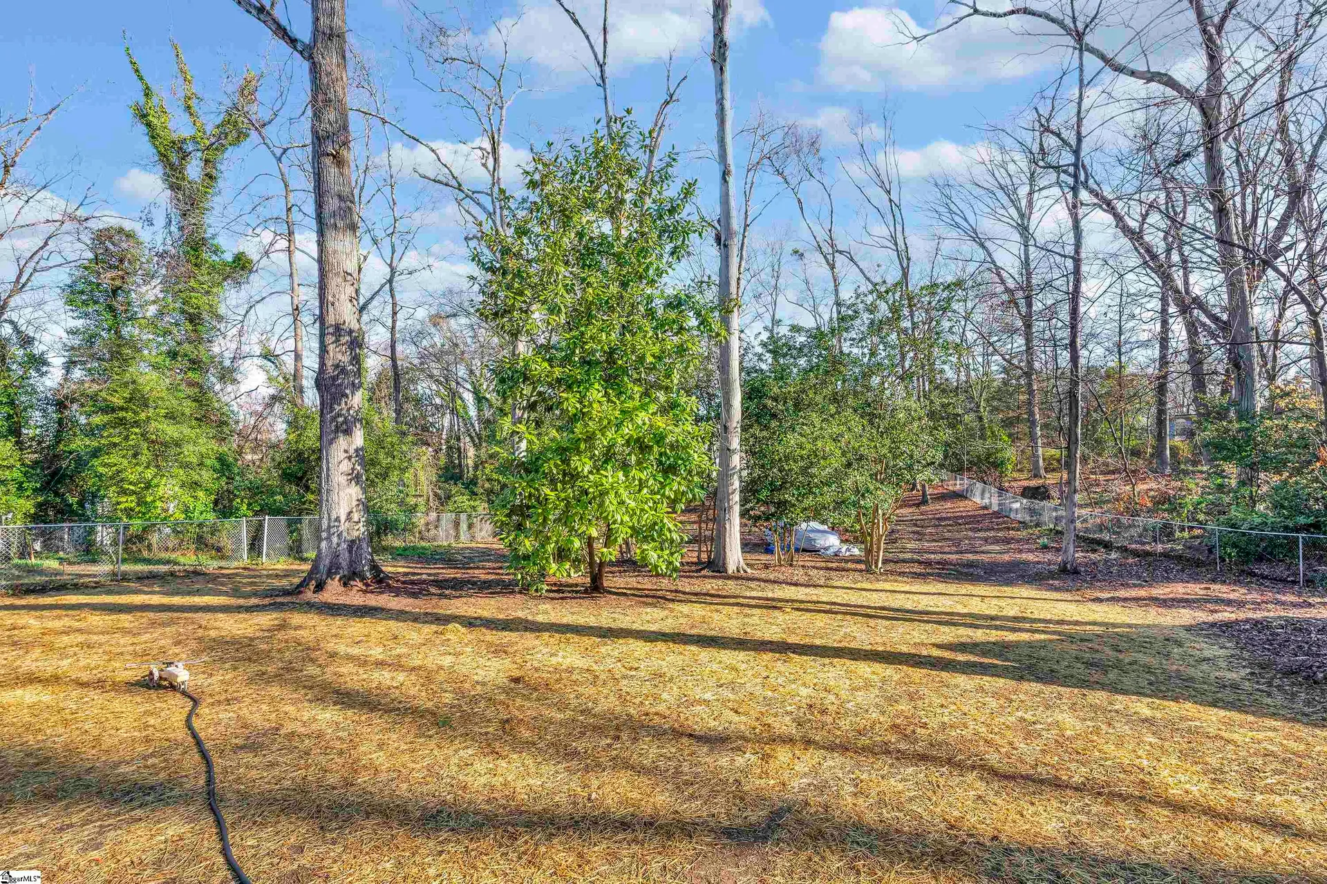 Property image 4 at 161 Ivy Street, Spartanburg, SC 29302