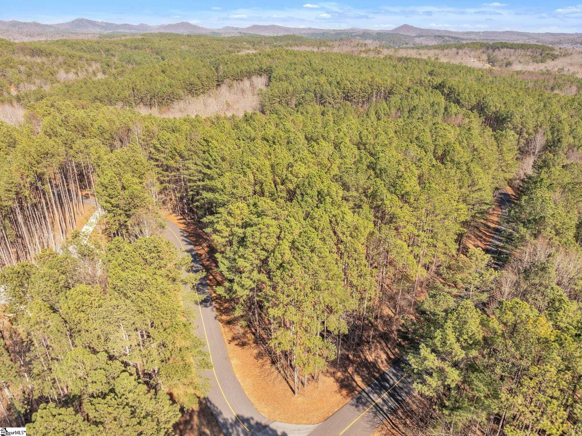 Property image 3 at 0 Top Ridge Drive, Sunset, SC 29685