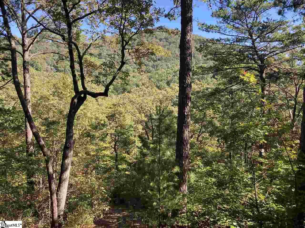Property image 4 at 19 Foggy Ridge Way, Travelers Rest, SC 29690