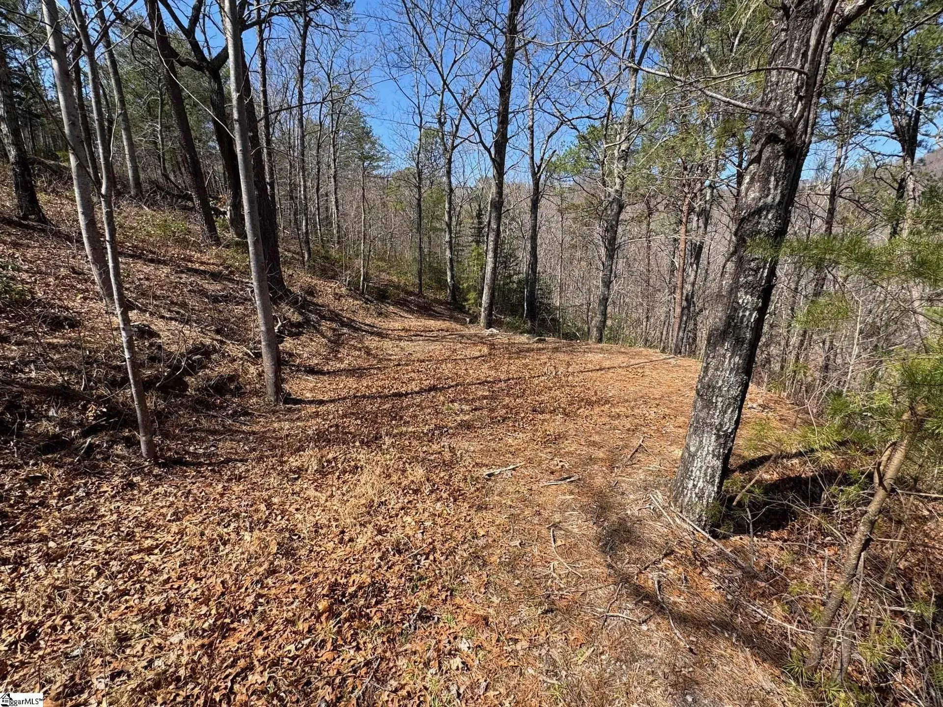 Property image 5 at 19 Foggy Ridge Way, Travelers Rest, SC 29690