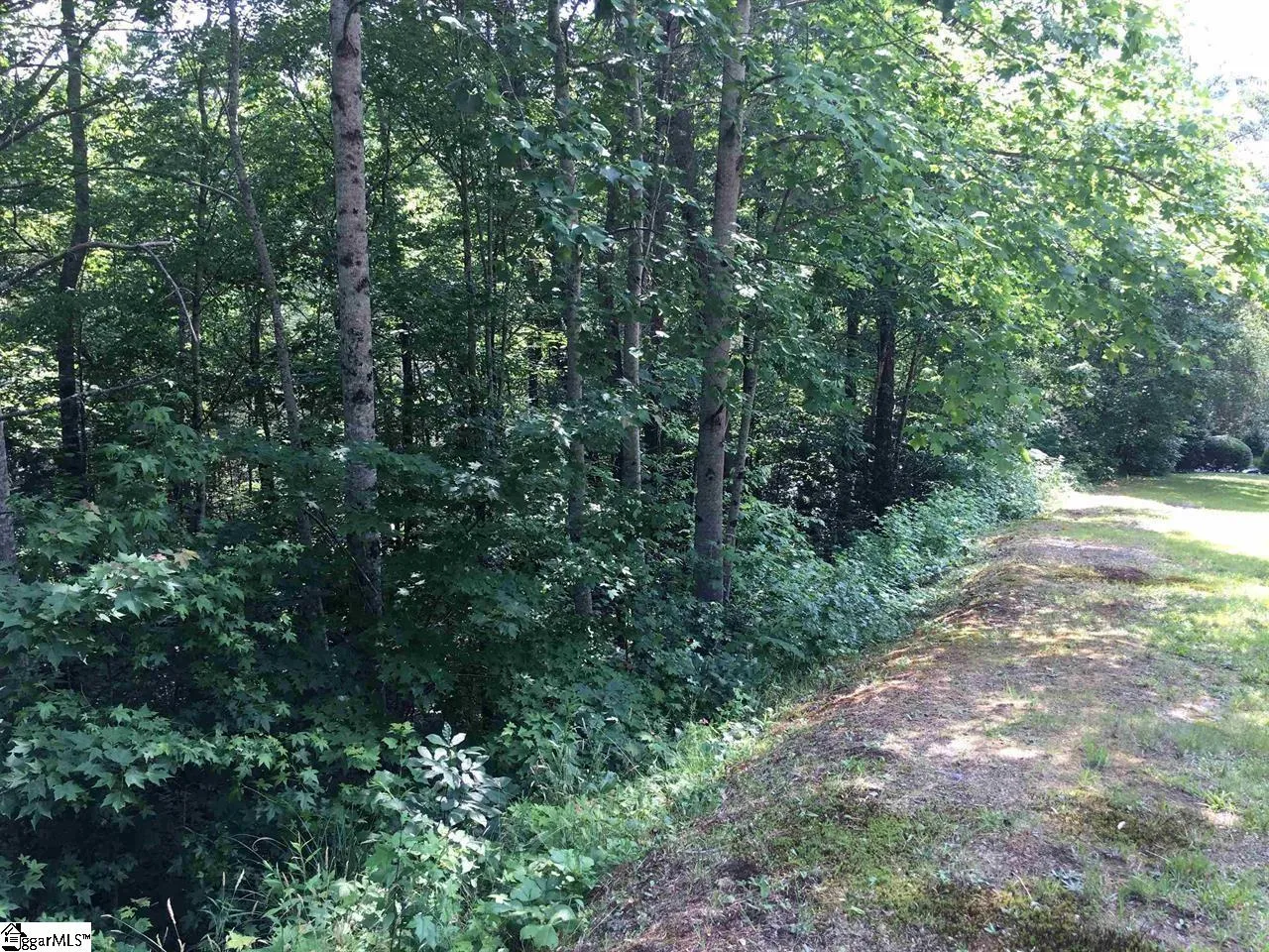 120 Ridgerunner Way