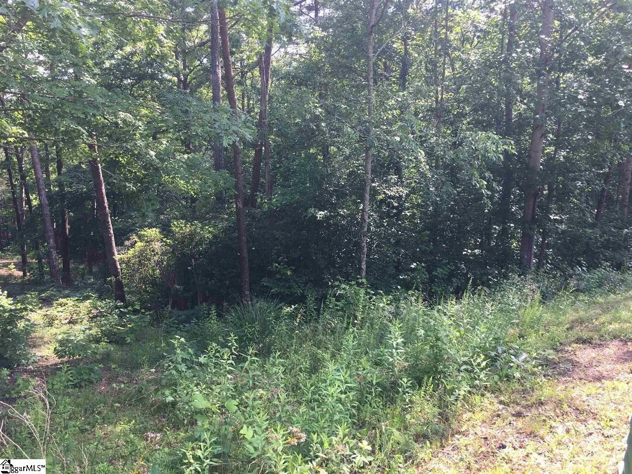 Property image 2 at 120 Ridgerunner Way, Travelers Rest, SC 29690