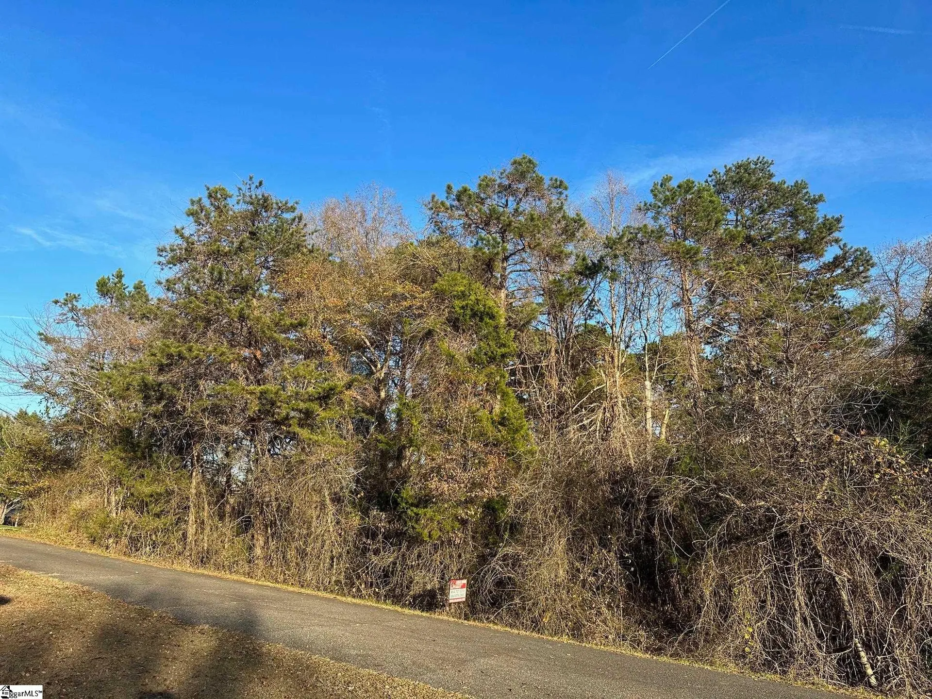 Property image 3 at 0 Blue Bird Hill Drive, Chesnee, SC 29323