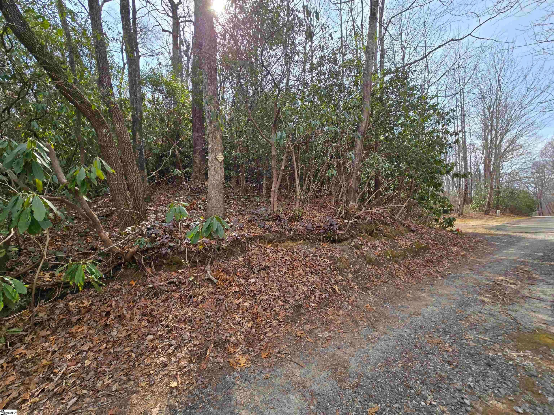 Property image 4 at 68 Conifer Falls Road, Cleveland, SC 29635