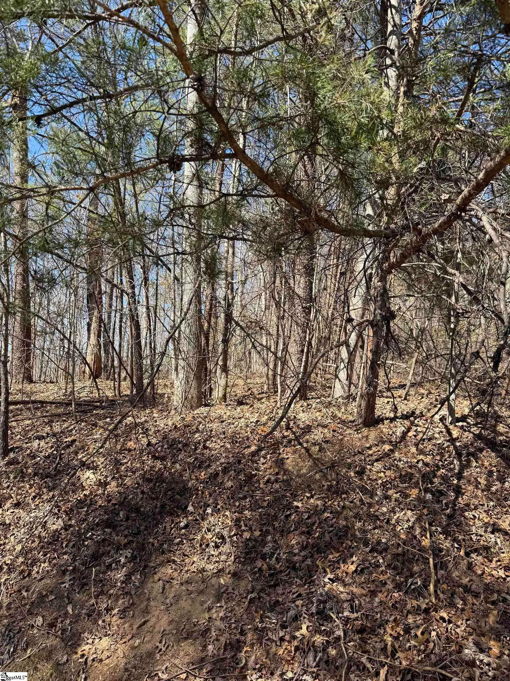 Property image 3 at Links Ledge, Travelers Rest, SC 29690