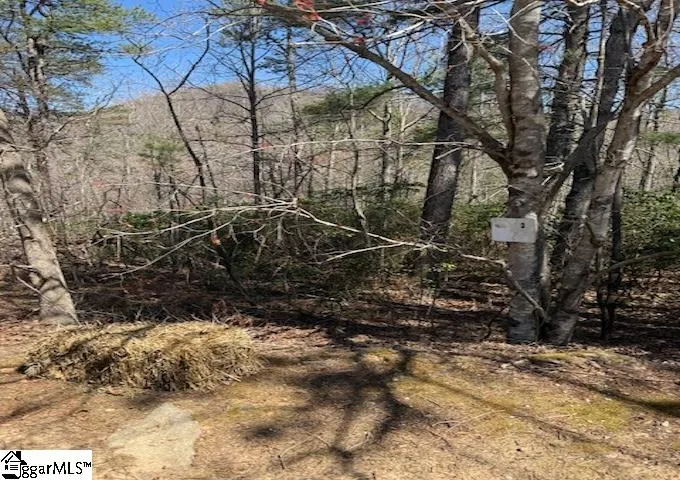 25 Lake Hill Lane