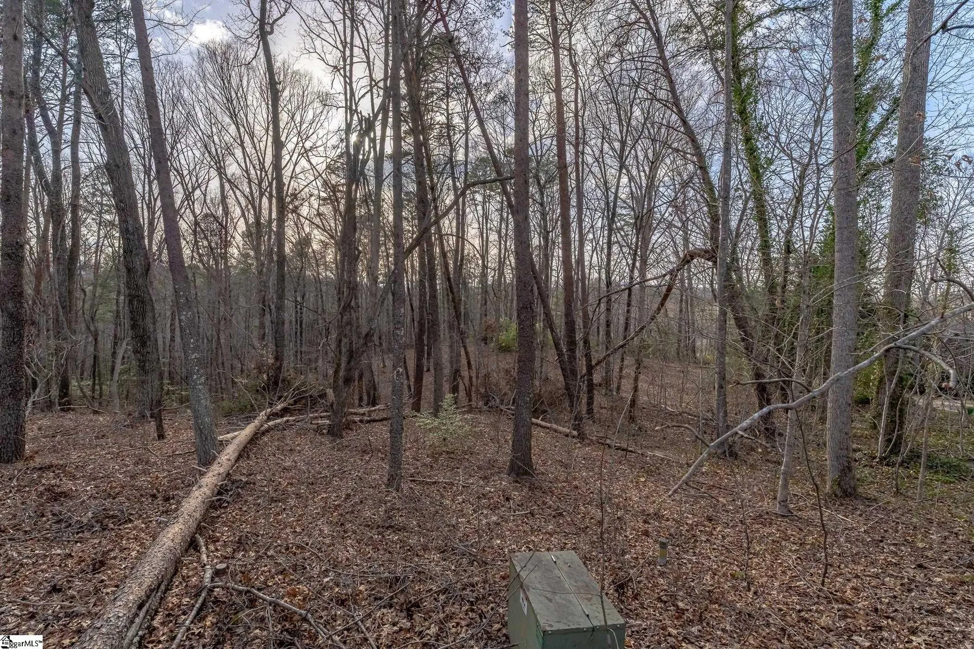 Property image 4 at 18 Rhone Valley Lane, Travelers Rest, SC 29690