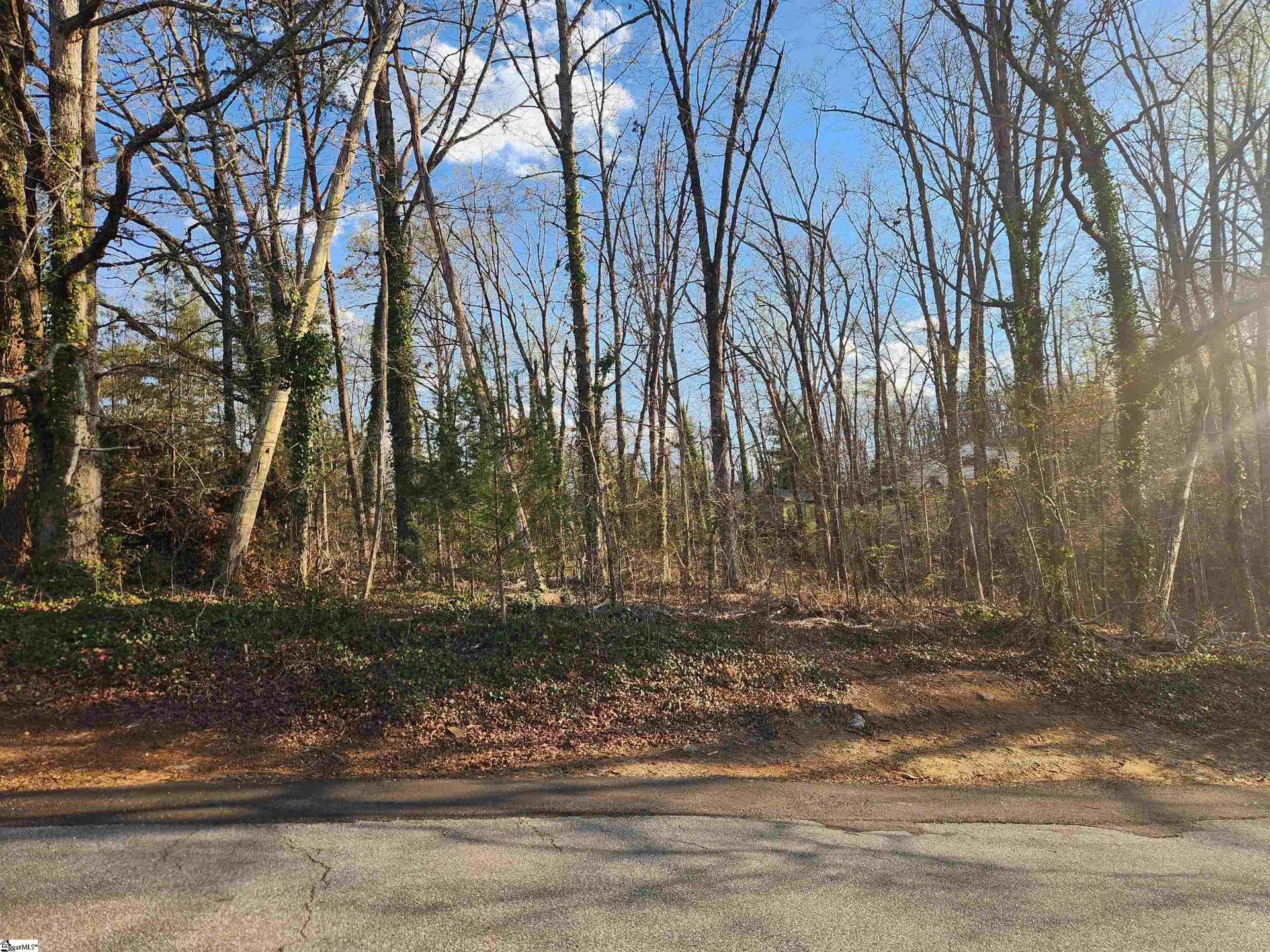 Property image 3 at 109 Buena Vista Drive, Easley, SC 29640