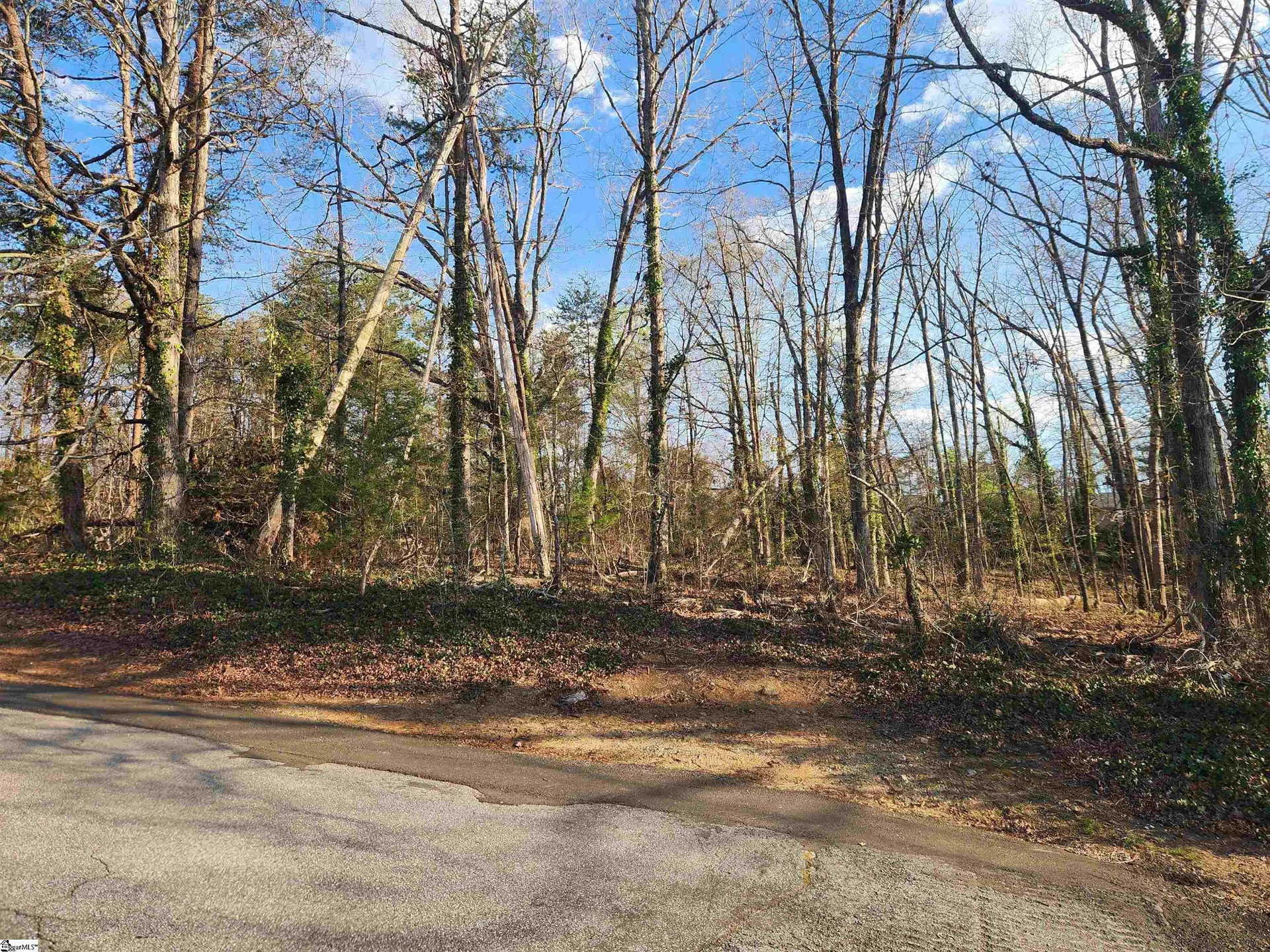 Property image 4 at 109 Buena Vista Drive, Easley, SC 29640
