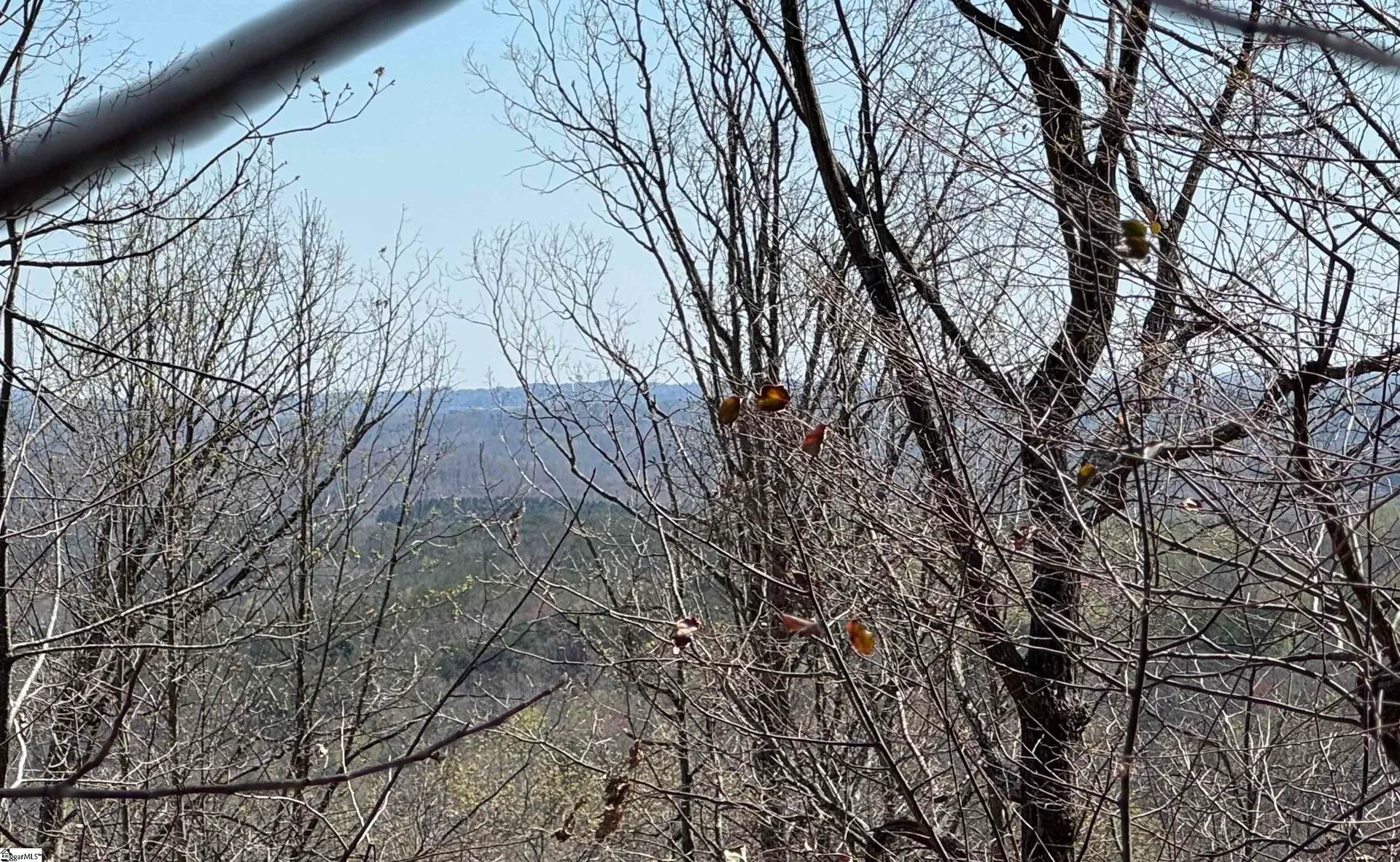Property image 2 at 00 Goforth Road, Landrum, SC 29356