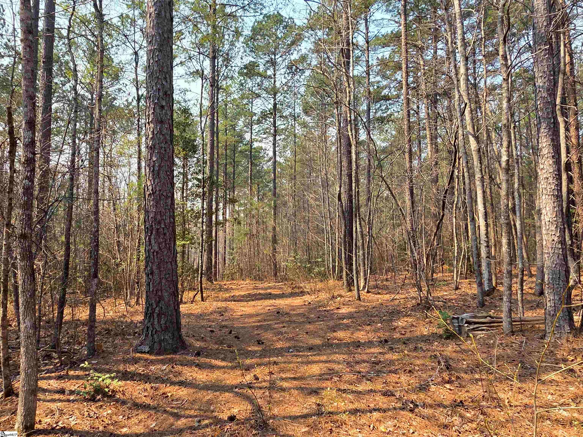 8 Belk Road
