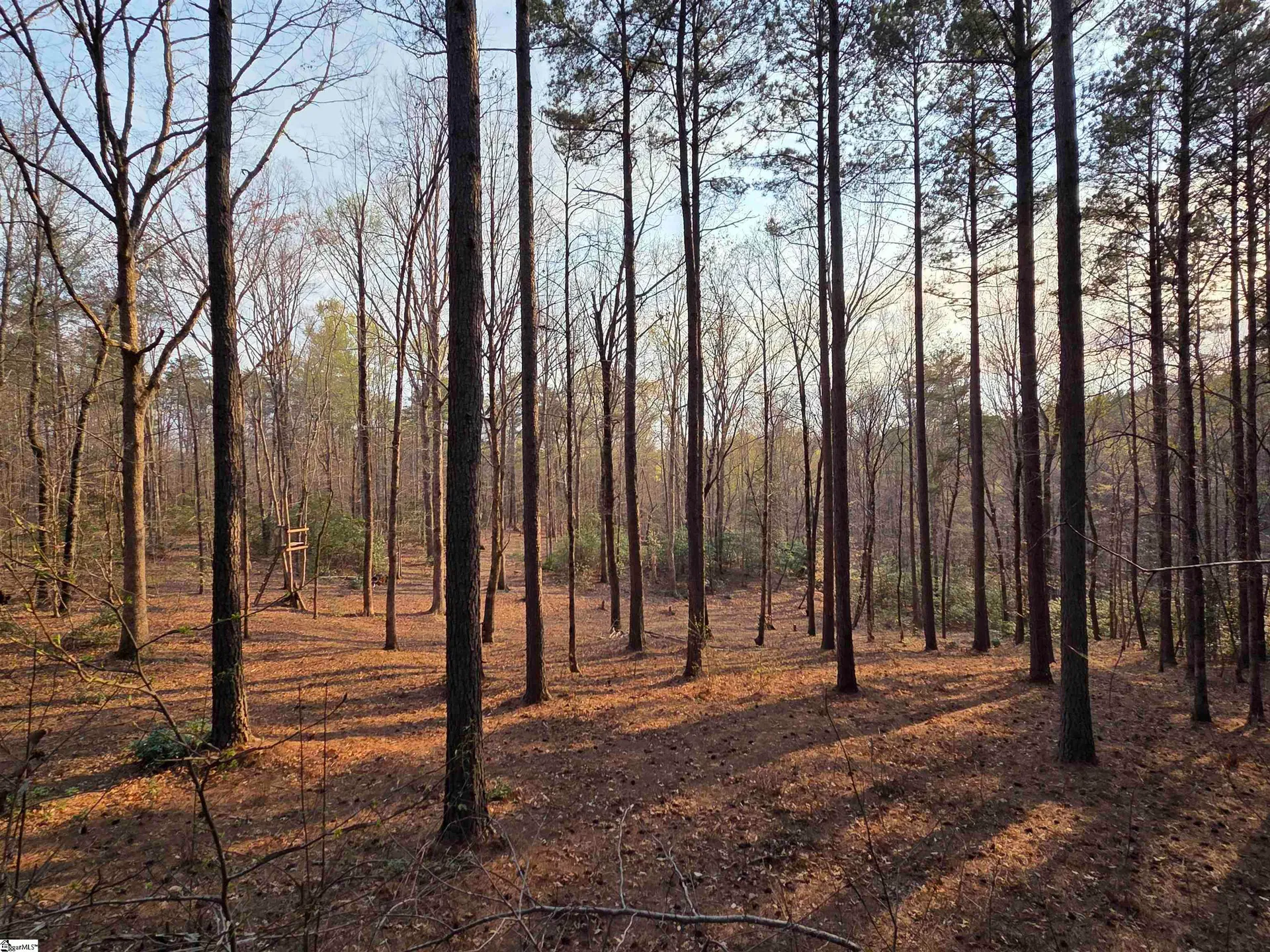 Property image 2 at 8 Belk Road, Travelers Rest, SC 29690