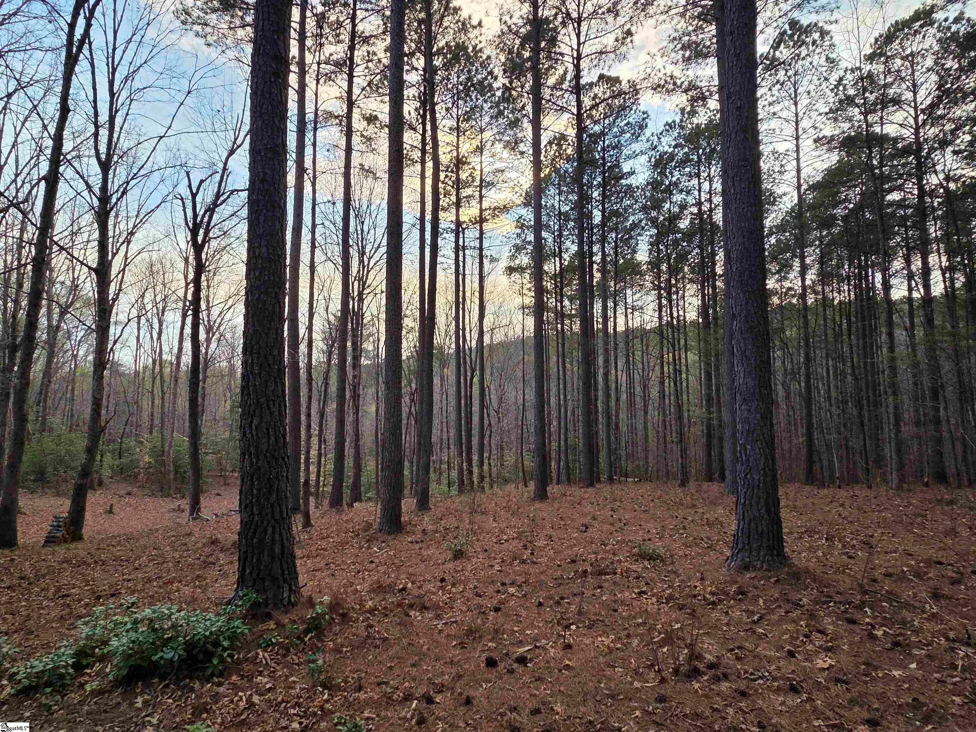 Property image 3 at 8 Belk Road, Travelers Rest, SC 29690