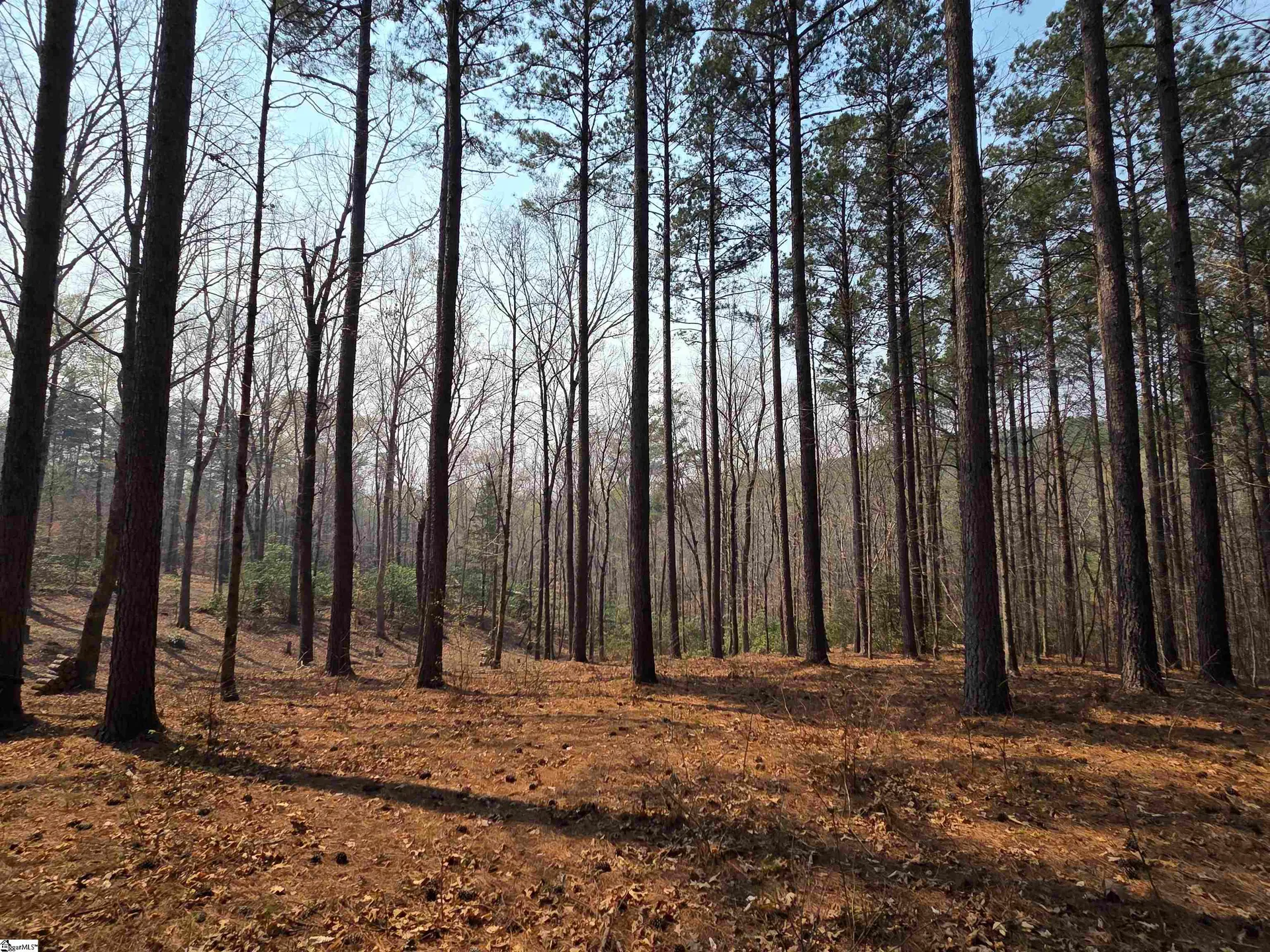 Property image 4 at 8 Belk Road, Travelers Rest, SC 29690
