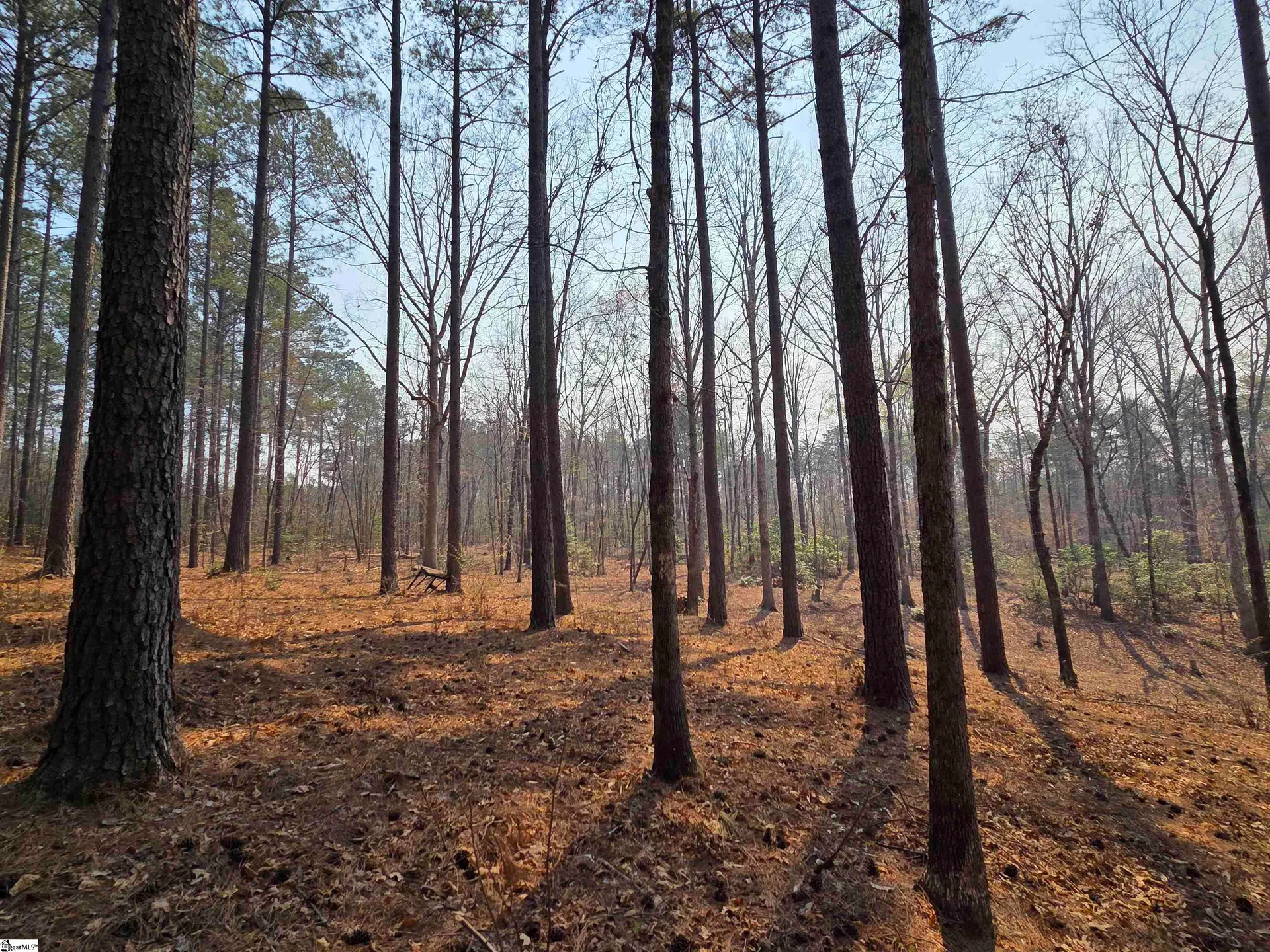 Property image 5 at 8 Belk Road, Travelers Rest, SC 29690