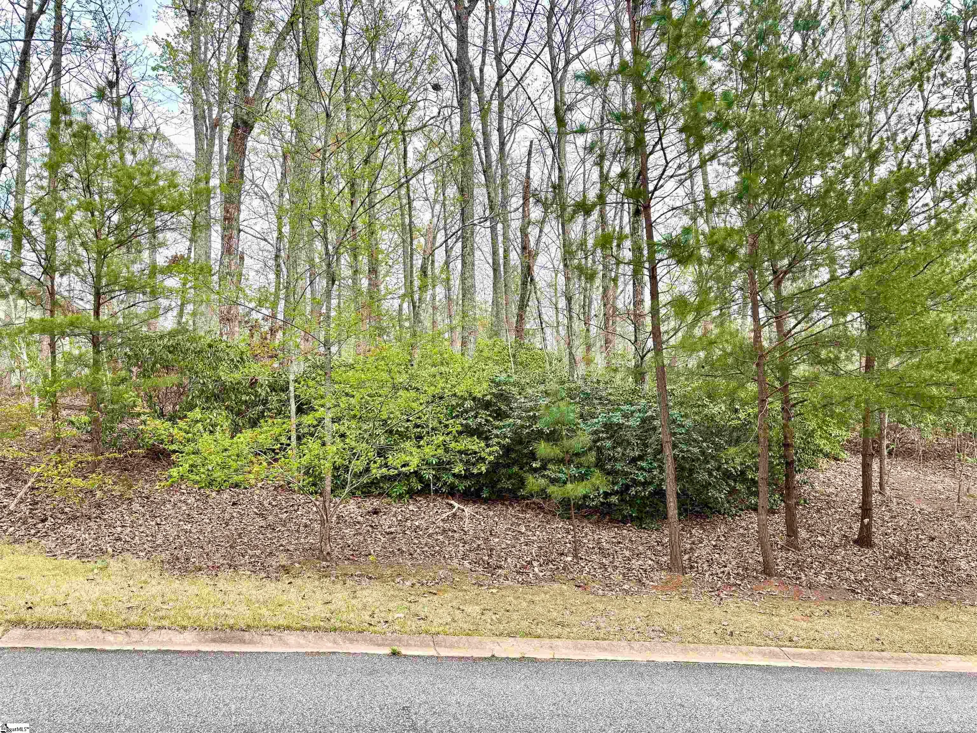 15 Timberline Drive