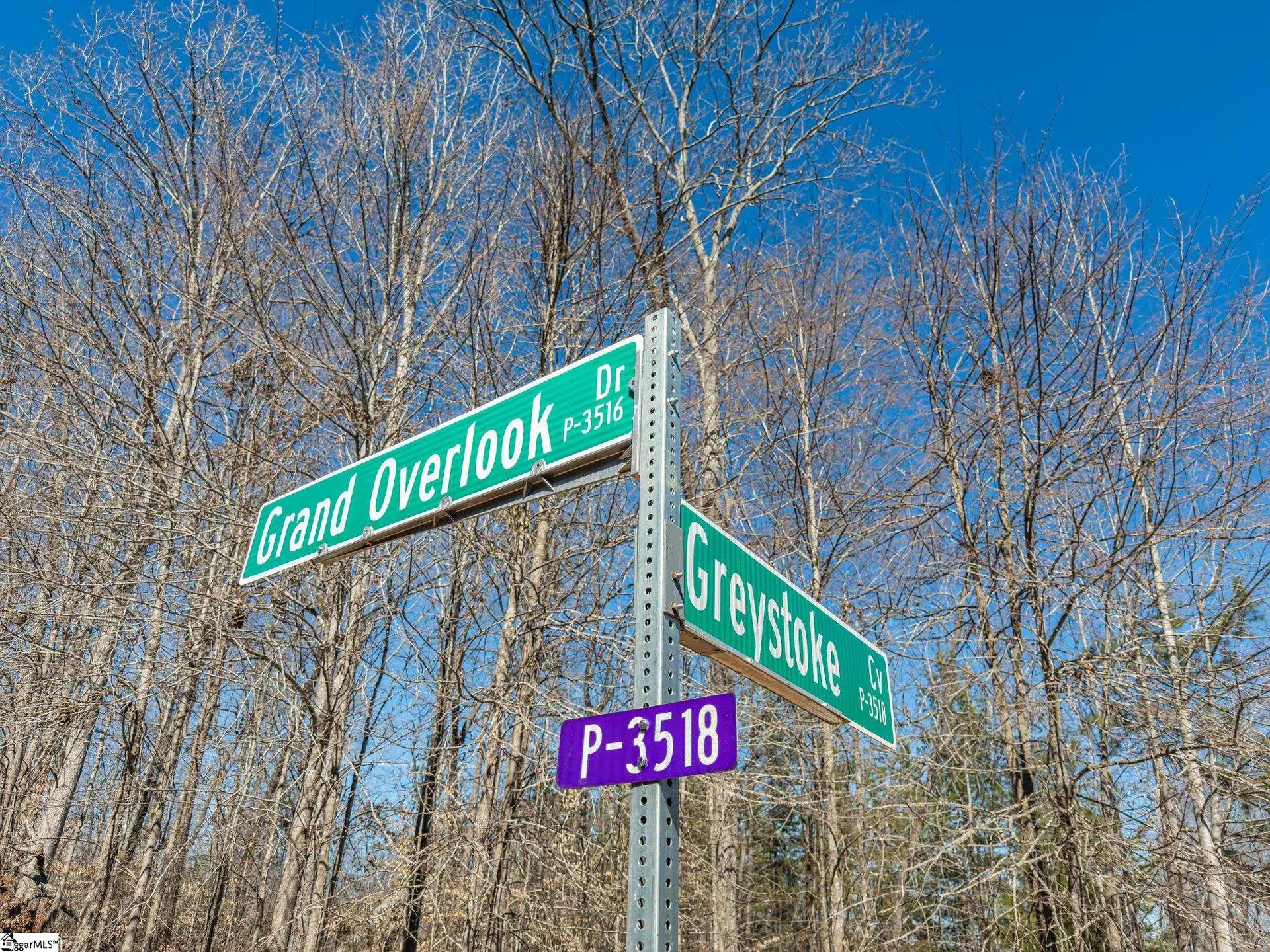 Property image 3 at E Grand Overlook Drive, Seneca, SC 29678