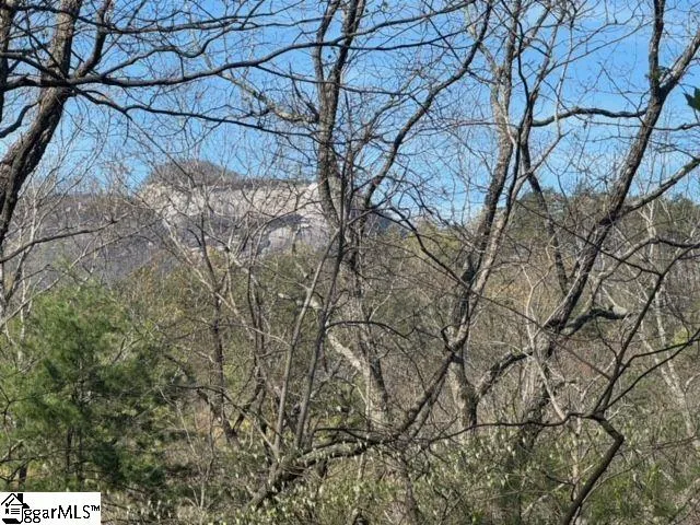 Property image 2 at Ledge Road, Cleveland, SC 29635