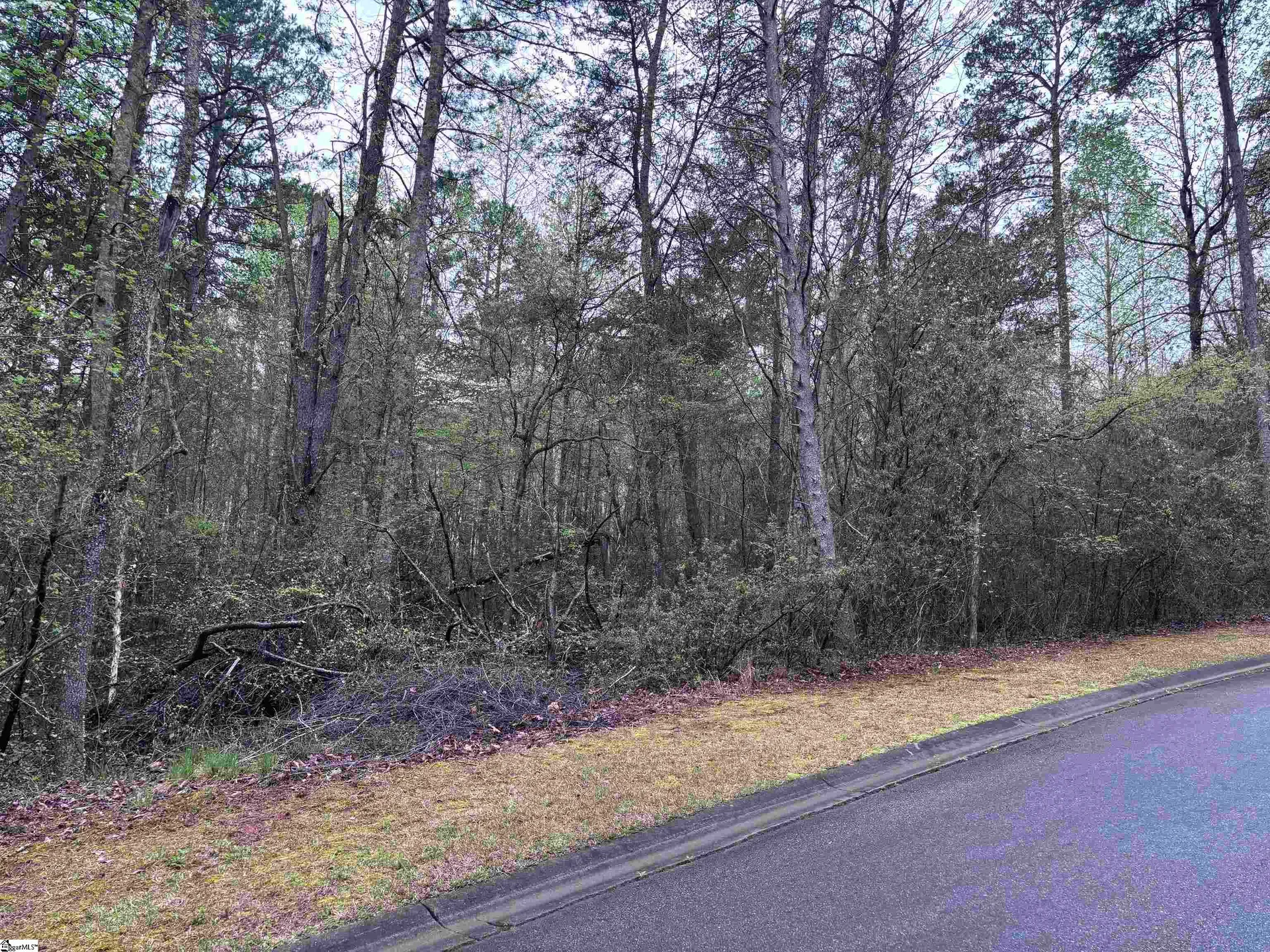 Property image 2 at 200 Eastlake Court, Seneca, SC 29672