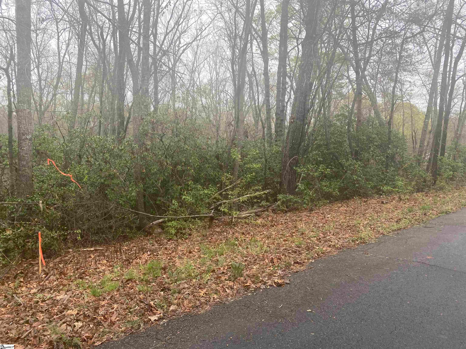 Property image 3 at 00 Eastview Drive, Pickens, SC 29671