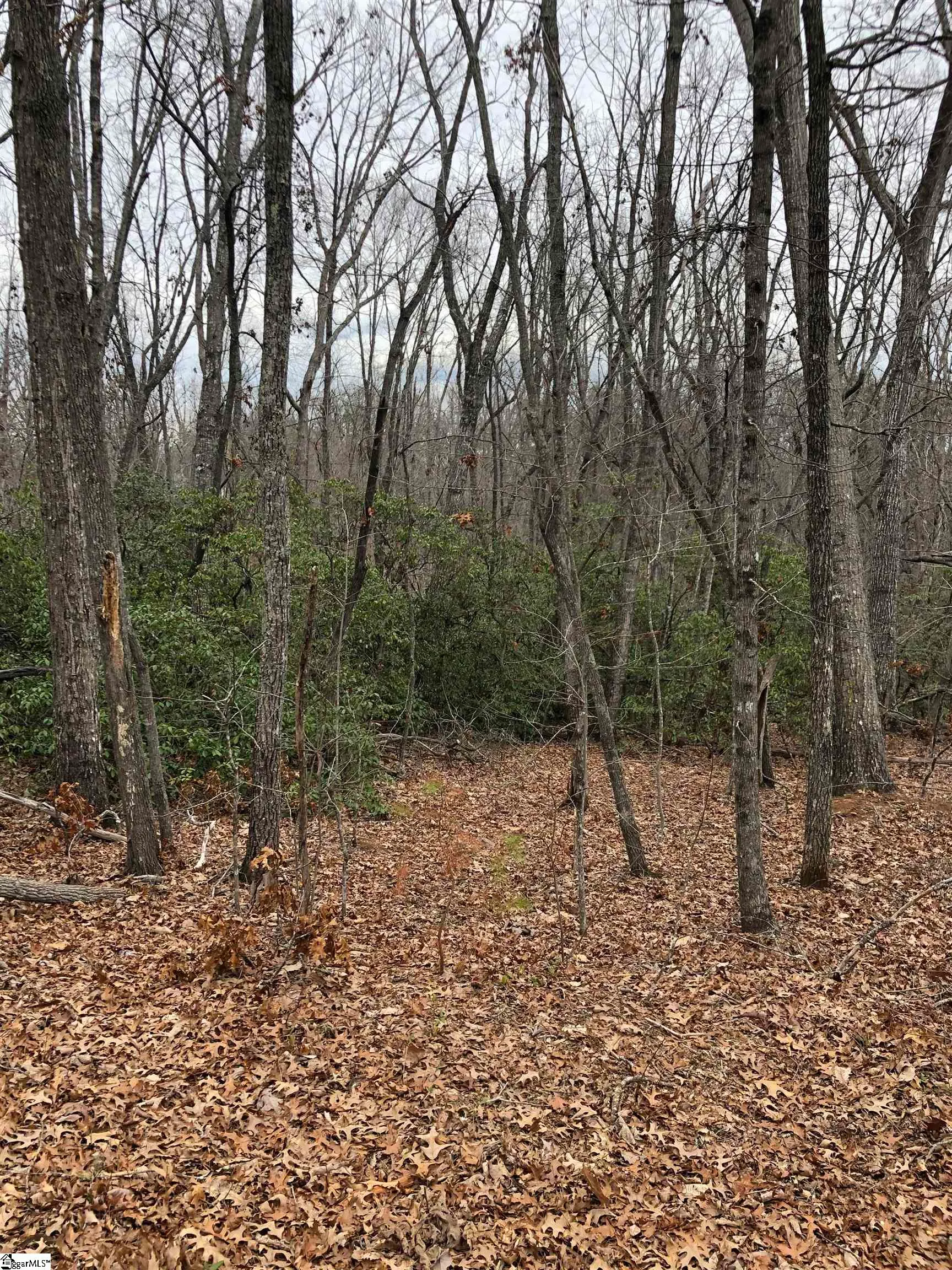 Property image 5 at 00 Eastview Drive, Pickens, SC 29671
