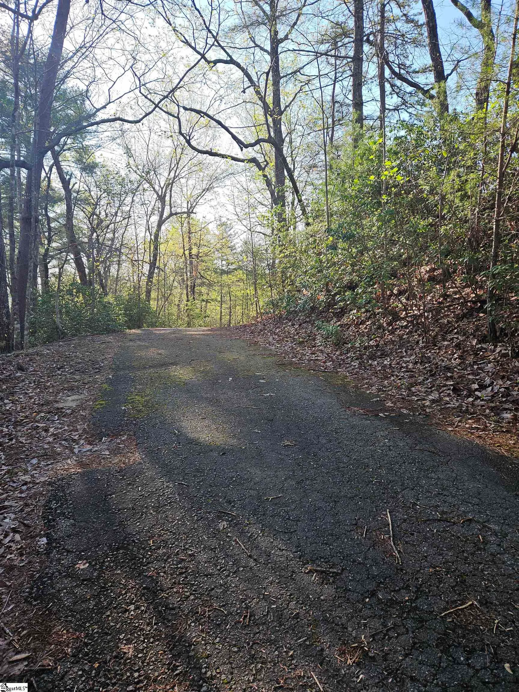 Property image 3 at 139 Whispering Falls Drive, Pickens, SC 29671