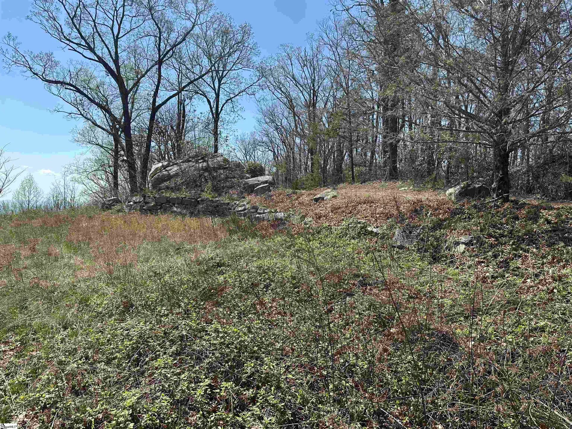 Property image 2 at 20 Falling Star Way, Landrum, SC 29356-3329
