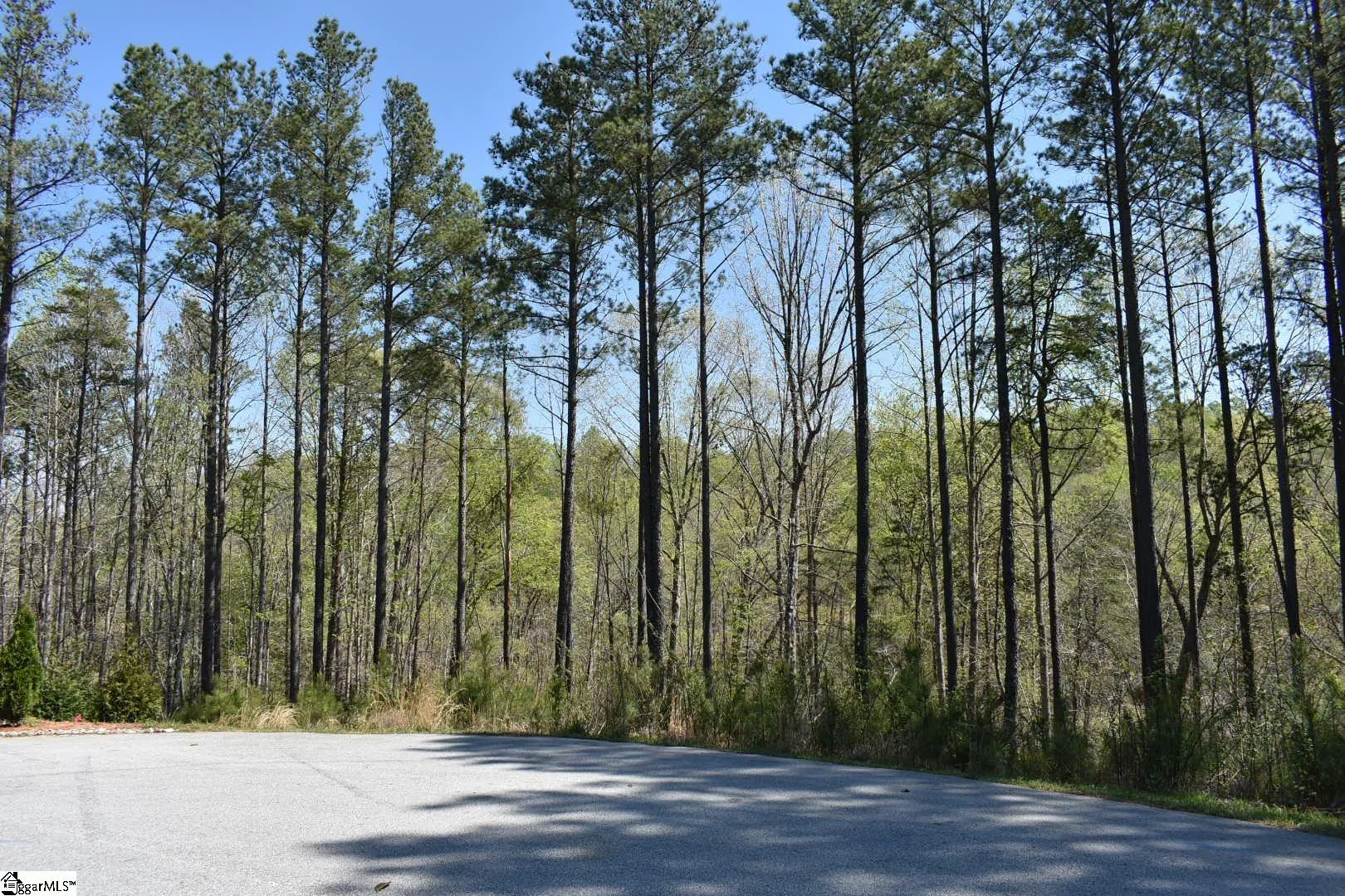 Property image 4 at 154 Bailey Street, Six Mile, SC 29682