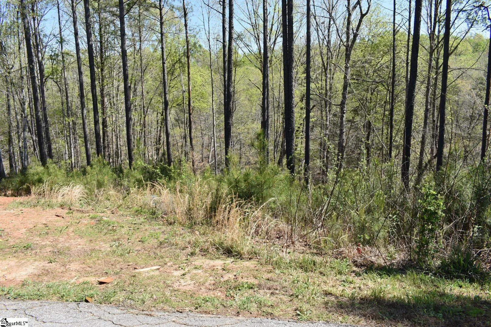 Property image 5 at 154 Bailey Street, Six Mile, SC 29682