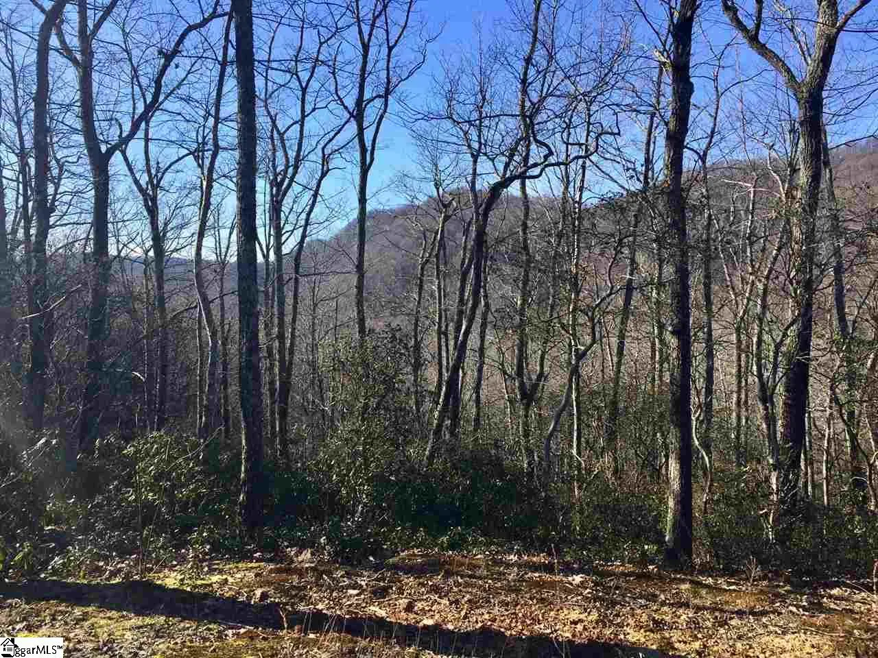 Property image 2 at 107 Sunfire Court, Travelers Rest, SC 29690