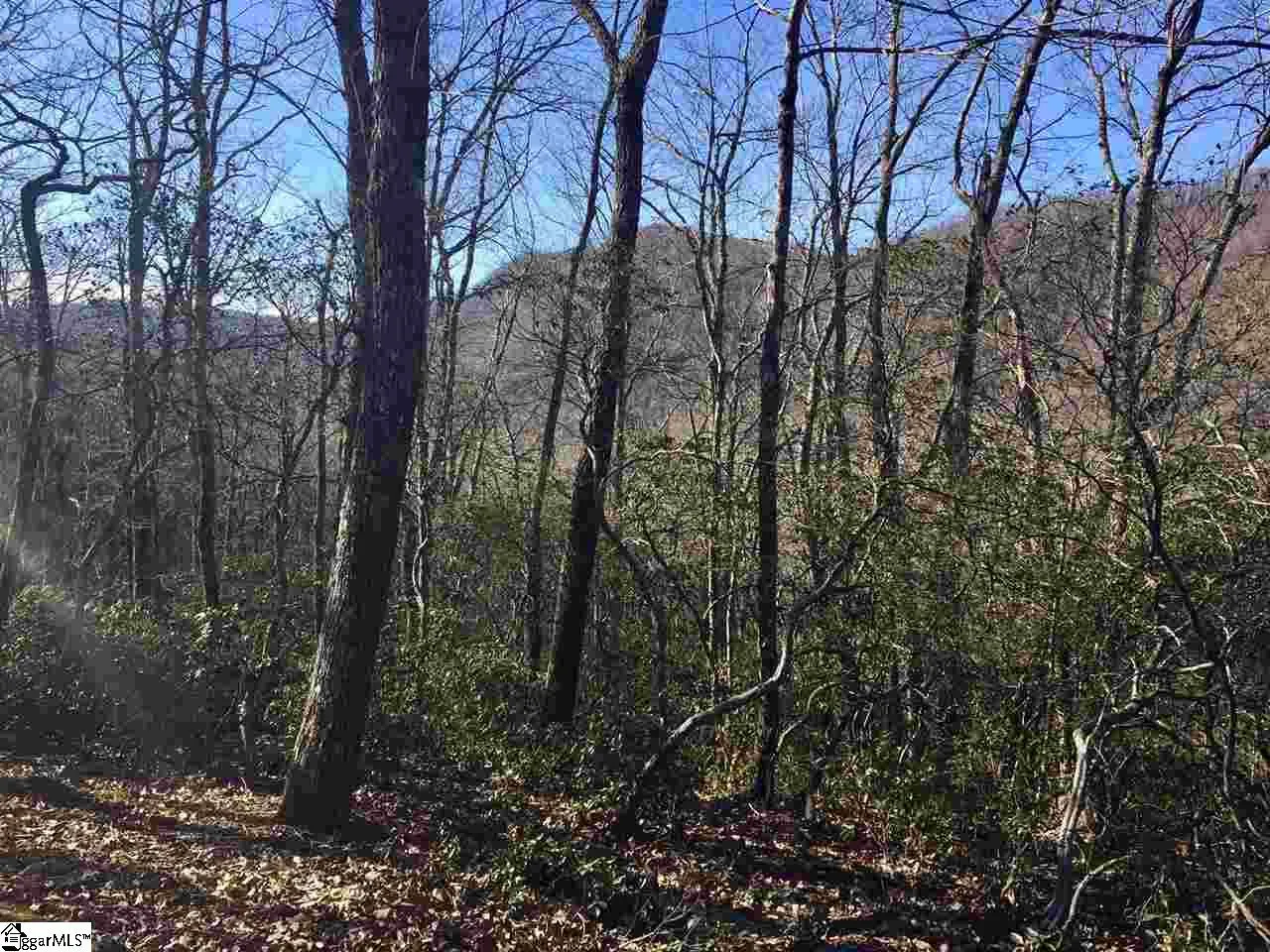 Property image 4 at 107 Sunfire Court, Travelers Rest, SC 29690