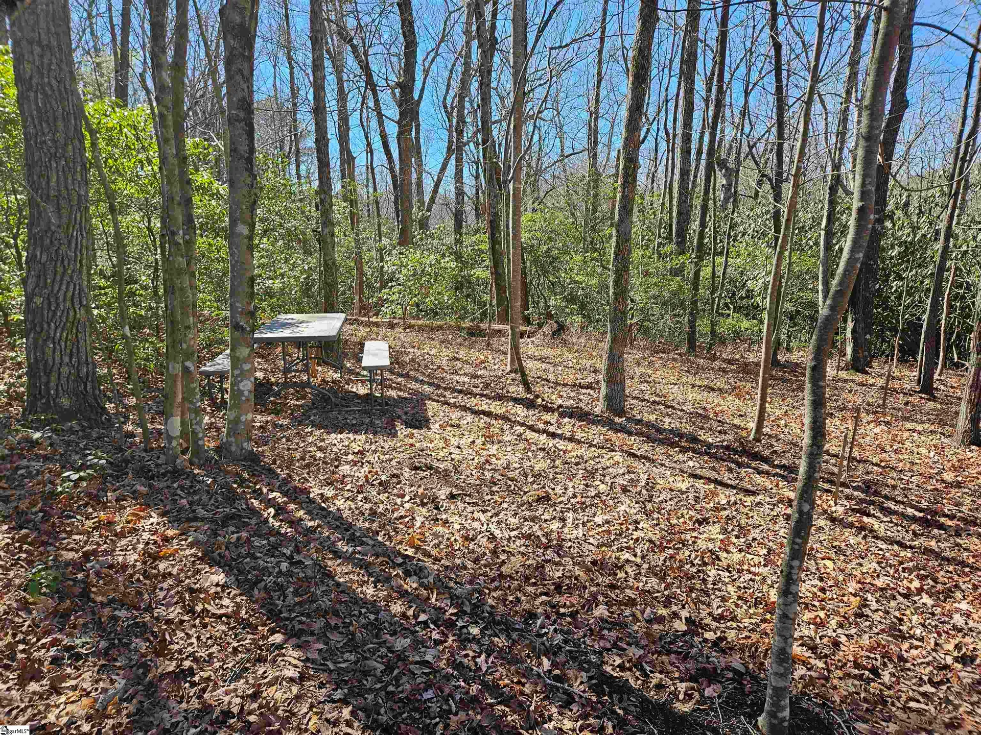 Property image 4 at 6 10 Larkspur Lane, Cleveland, SC 29635