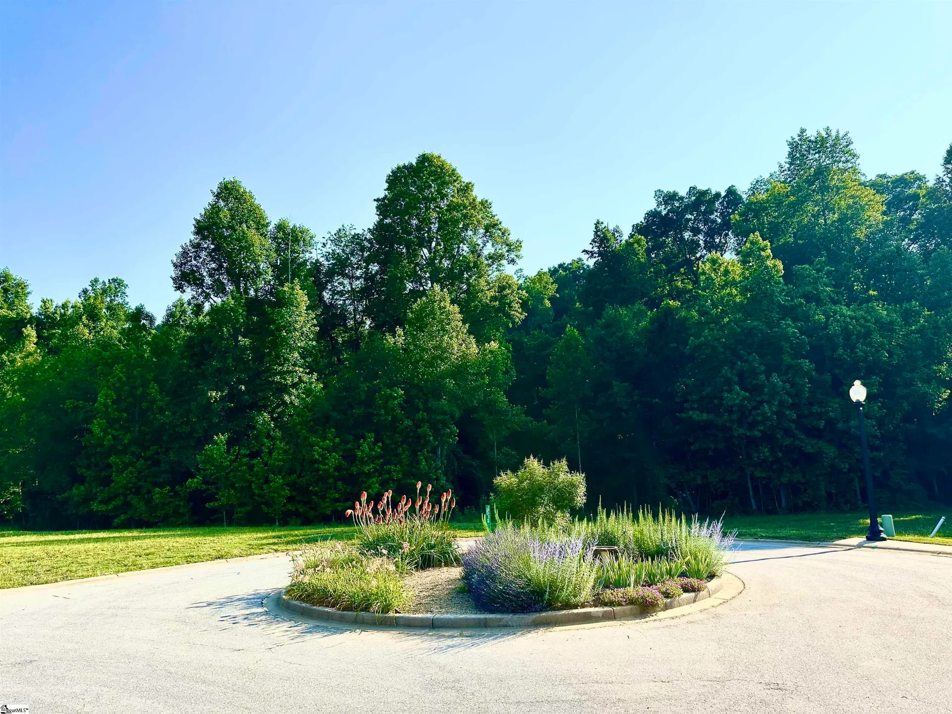 Property image 3 at 174 Page Creek Boulevard, Landrum, SC 29356