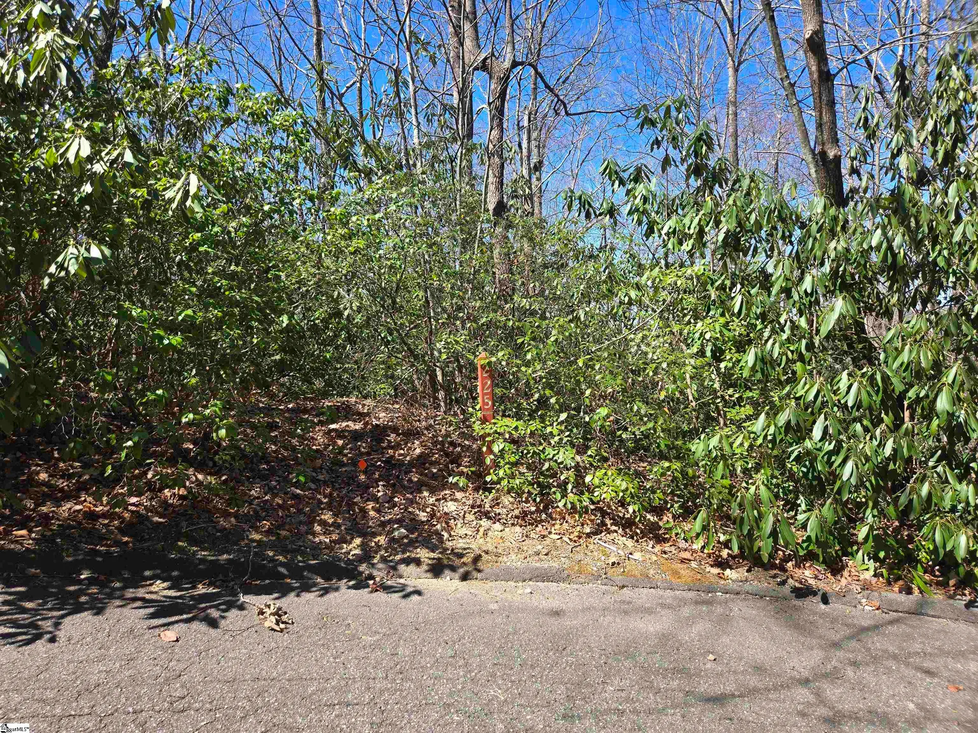 11 Larkspur Lane