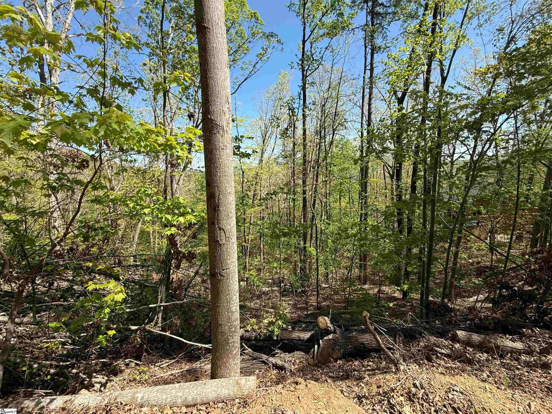 Property image 2 at 113 Stone Creek Court, Pickens, SC 29671