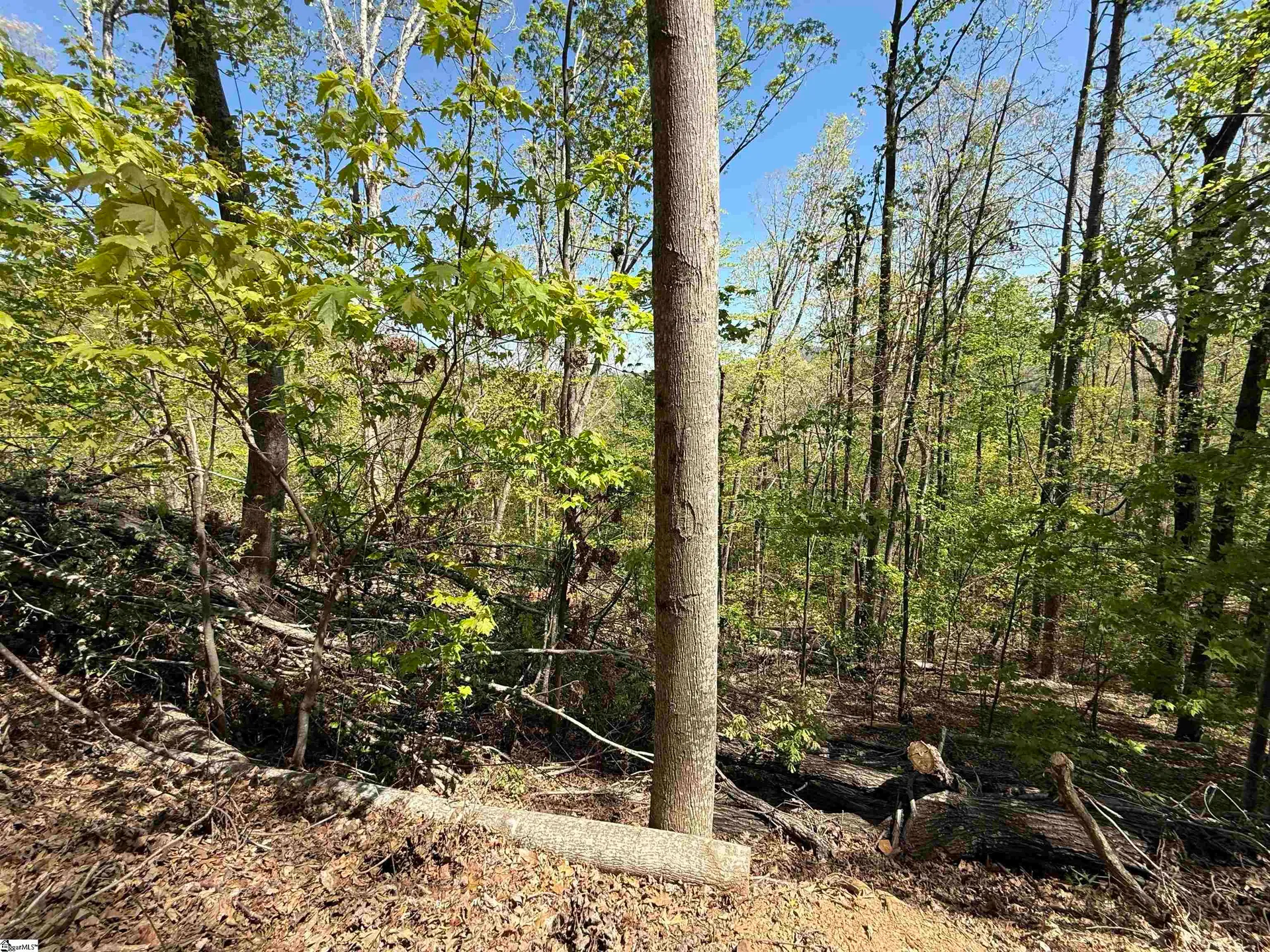 Property image 3 at 113 Stone Creek Court, Pickens, SC 29671