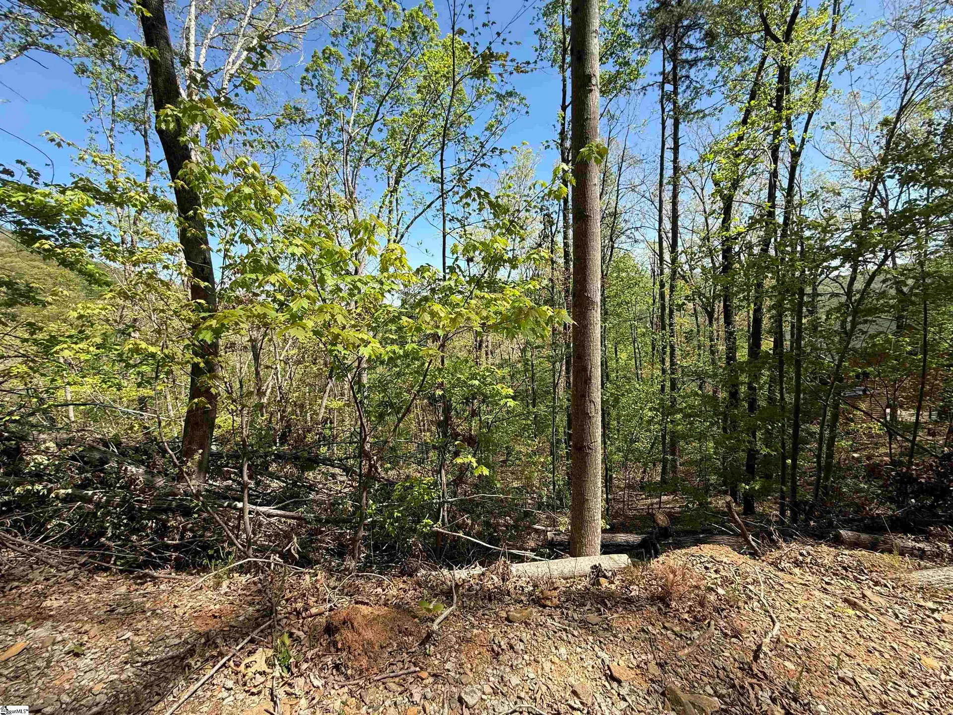 Property image 5 at 113 Stone Creek Court, Pickens, SC 29671