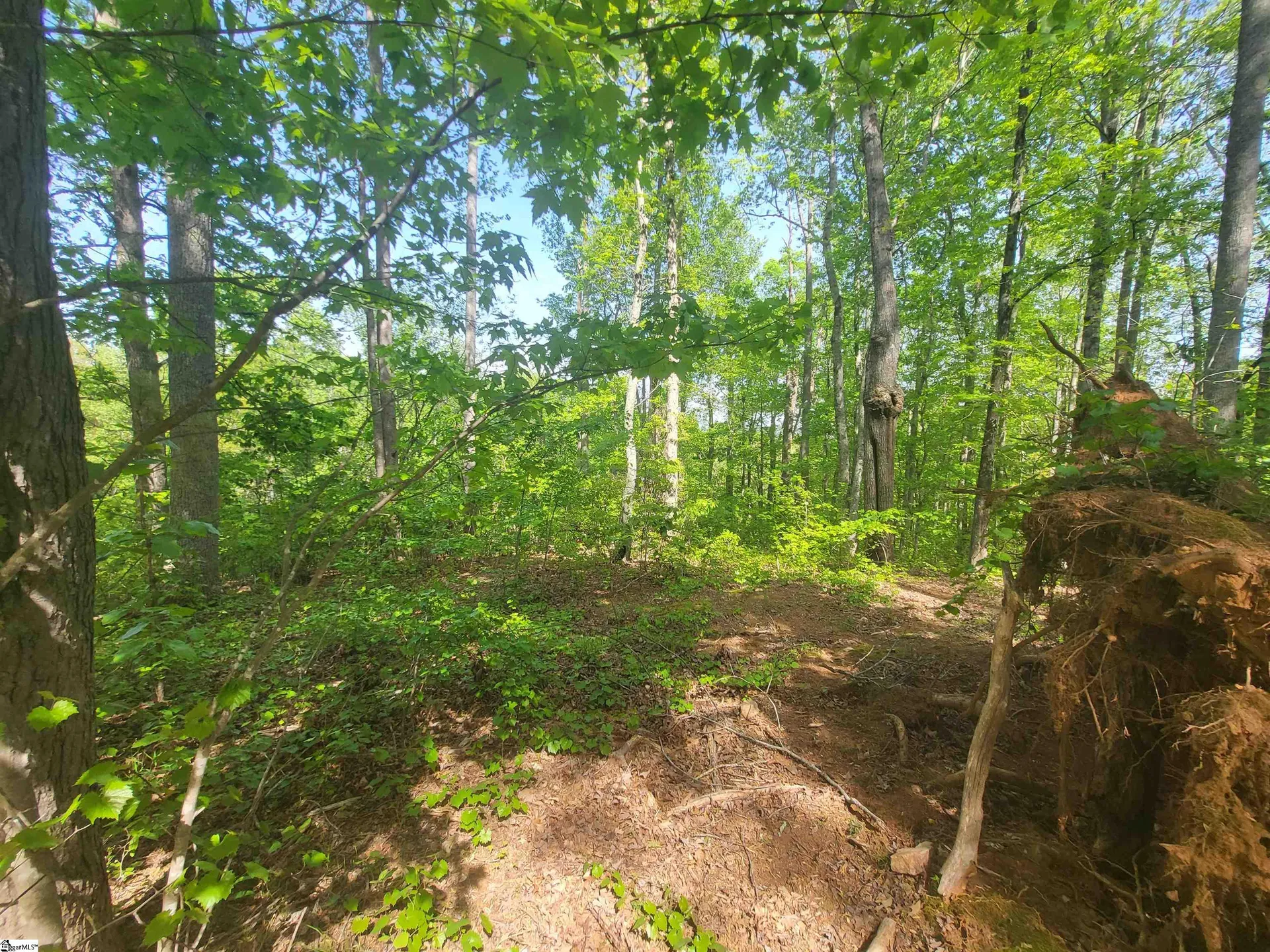 Property image 4 at 121 Laurel Valley Way, Travelers Rest, SC 29690