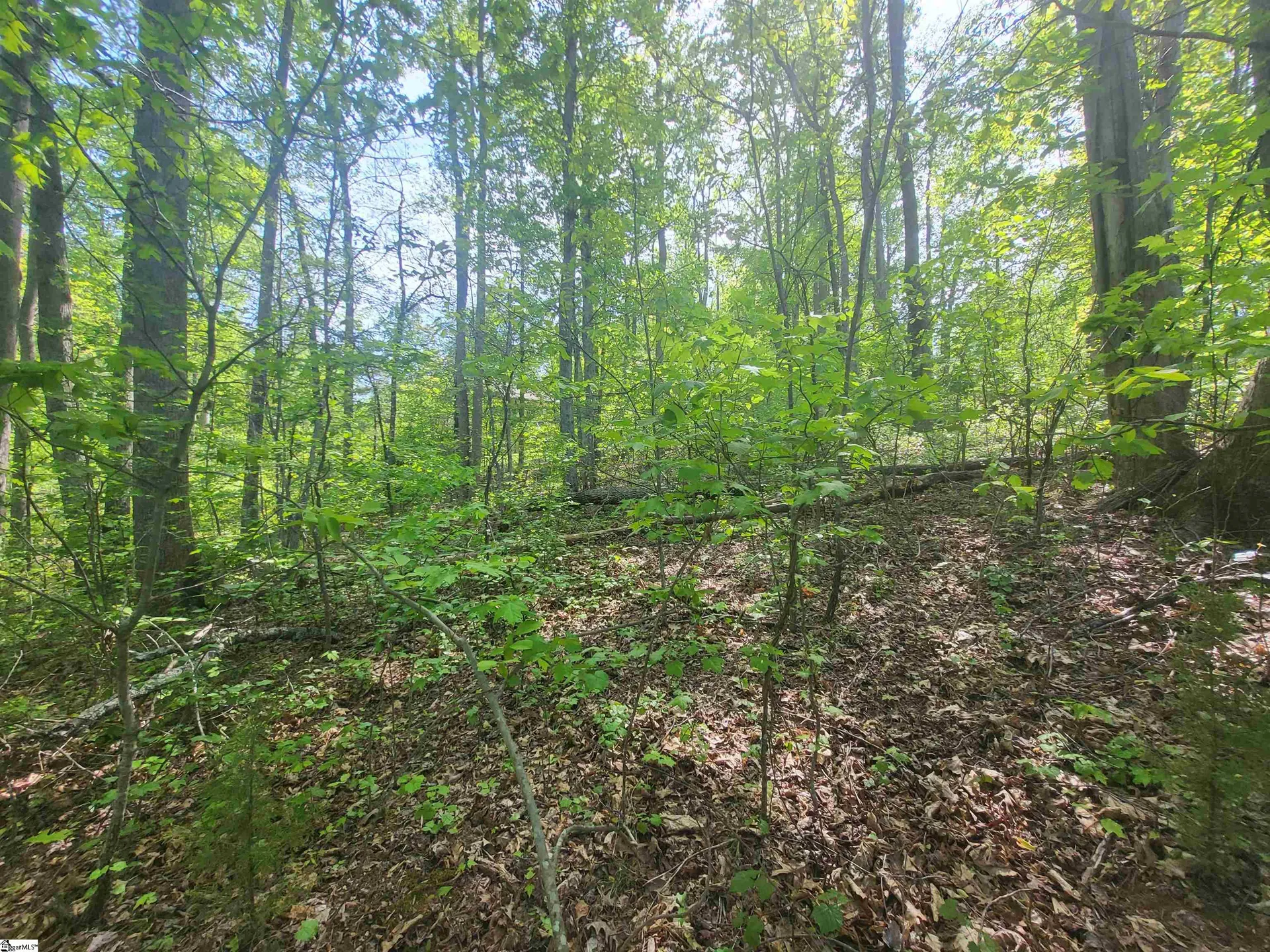 Property image 5 at 121 Laurel Valley Way, Travelers Rest, SC 29690